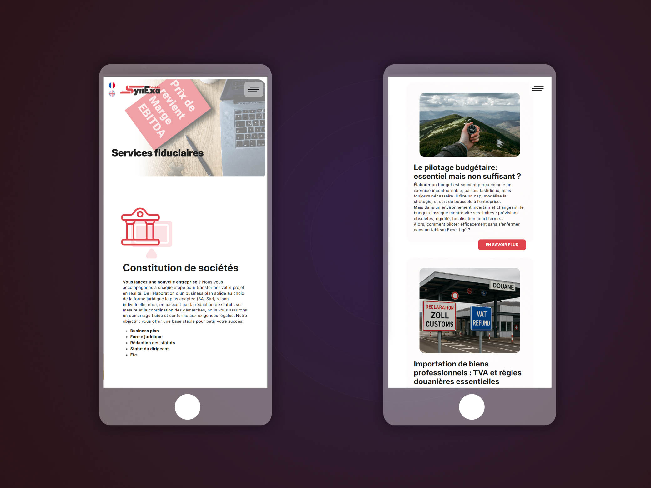 Aperçu du projet Synexa SA – Site internet réalisé par Step One en Suisse (image 2413)
